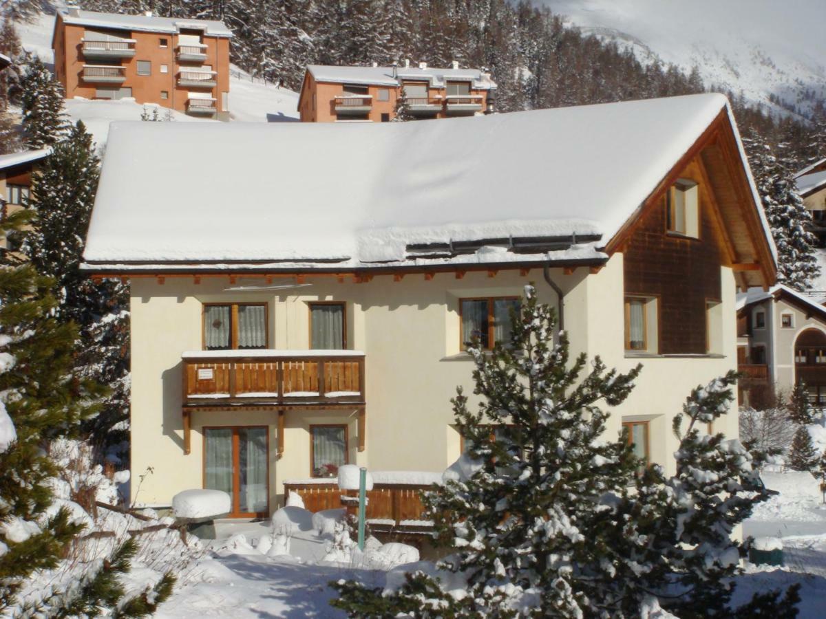 Crusch 32 Apartment Samedan Bagian luar foto